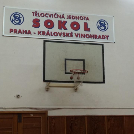 sokol1